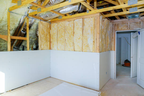 Best Cellulose Insulation in Borrego Springs, CA