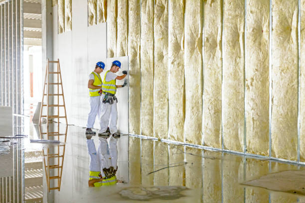 Types of Insulation We Offer in Borrego Springs, CA
